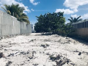 Lote en Chuburná Puerto, Yucatán
