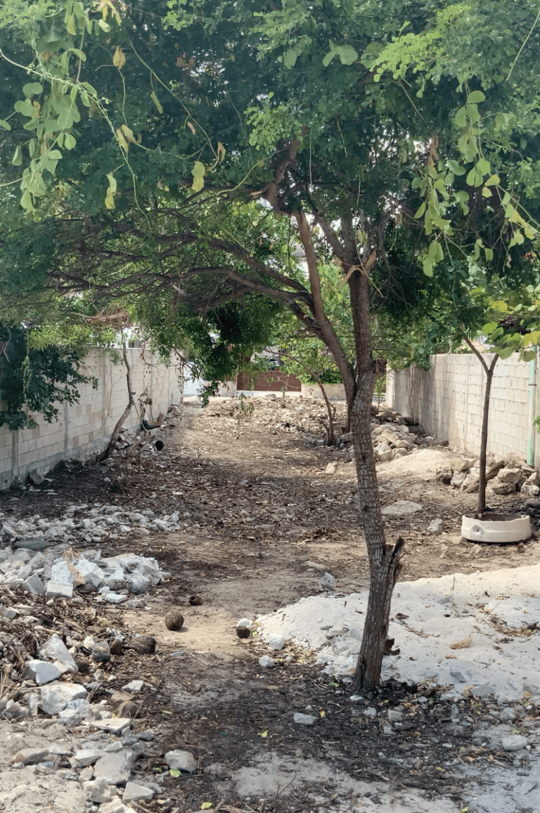Terreno de Playa, Chelem