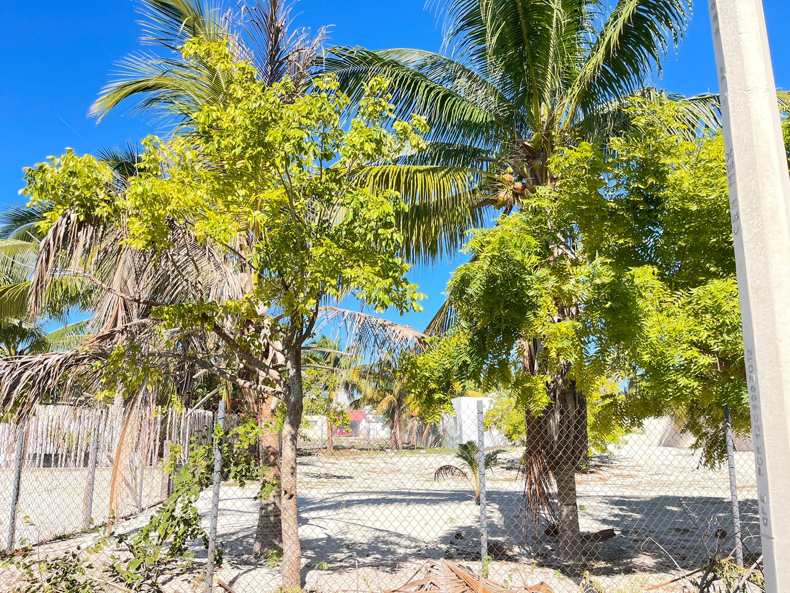 Vive Cerca del mar en Chelem Puerto